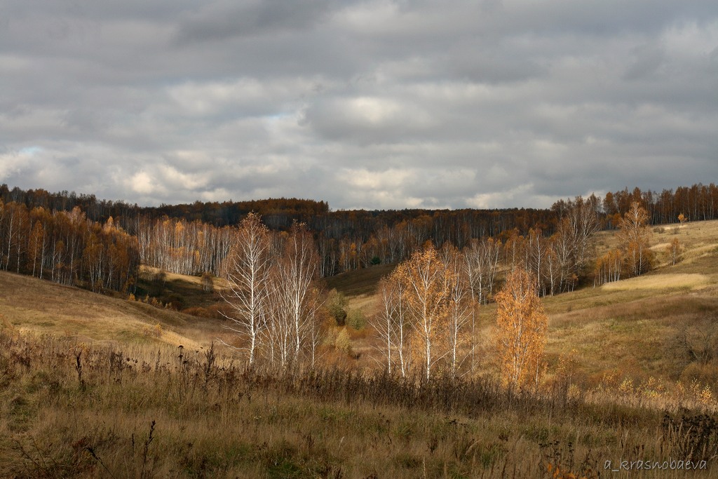 Протасово и окрестности, image of landscape/habitat.
