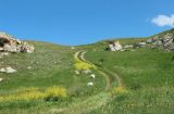 Генеральские пляжи, image of landscape/habitat.
