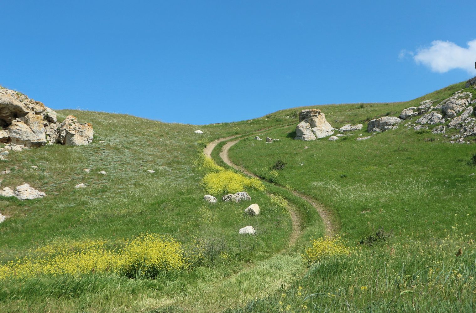 Генеральские пляжи, image of landscape/habitat.