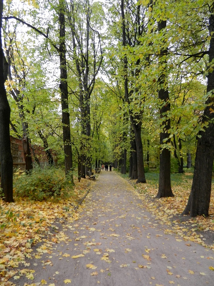 Аптекарский огород, изображение ландшафта.