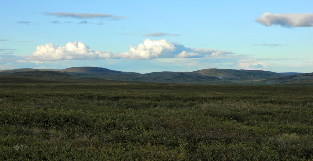Кершор, image of landscape/habitat.