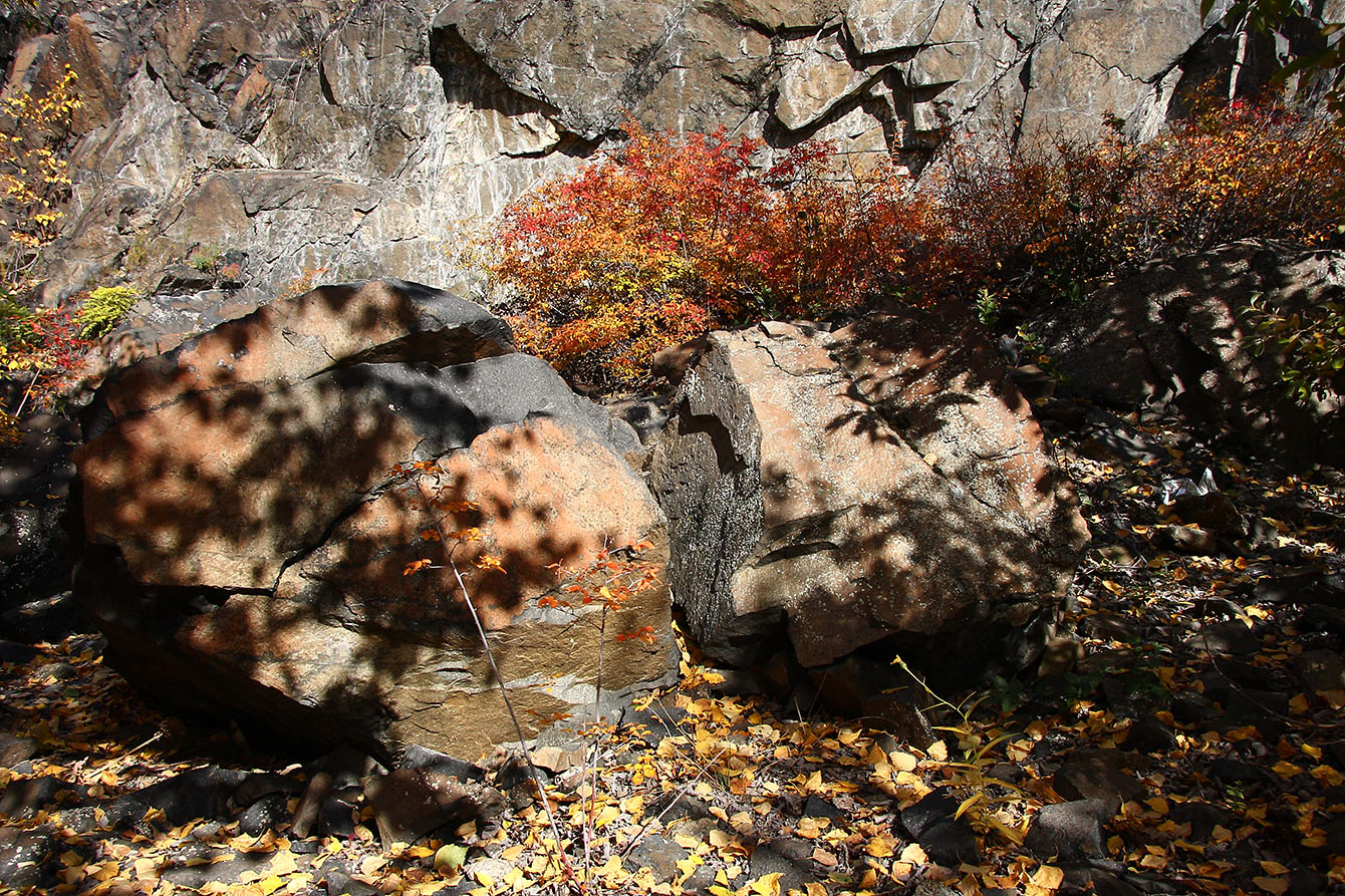 Порт Байкал, image of landscape/habitat.