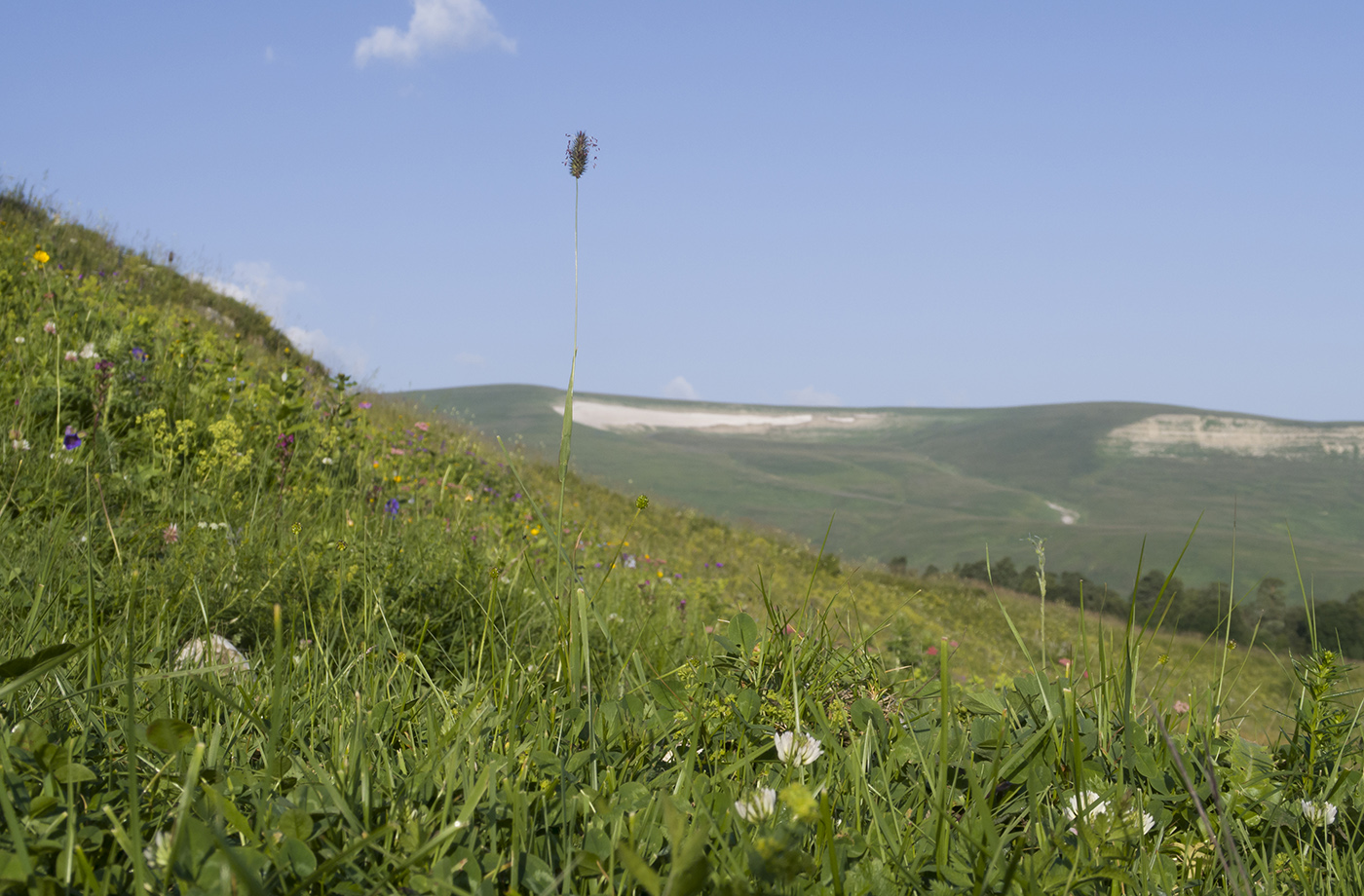 Окрестности Азишского перевала, image of landscape/habitat.
