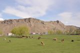 Image of landscape