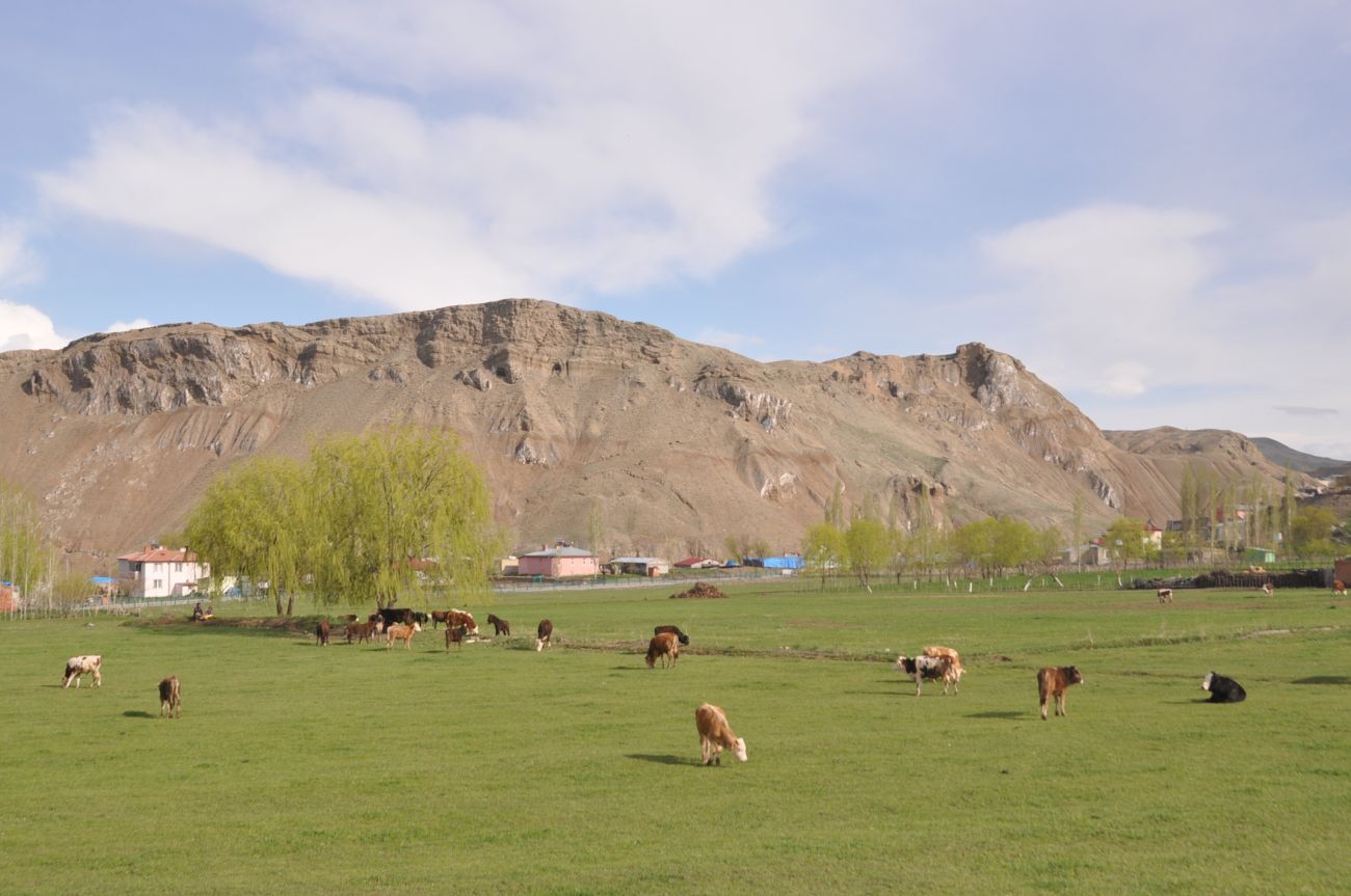 Соляная гора Тузлуджа, image of landscape/habitat.