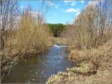 Соколова поляна, image of landscape/habitat.