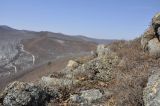 Image of landscape