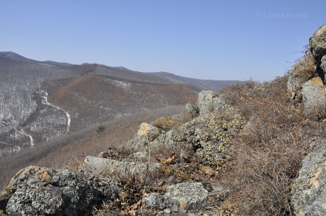 Окрестности села Староварваровка, image of landscape/habitat.