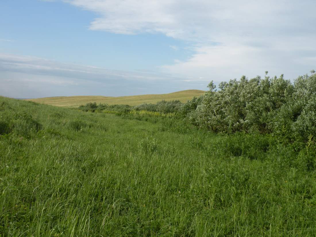 Озёрки, изображение ландшафта.