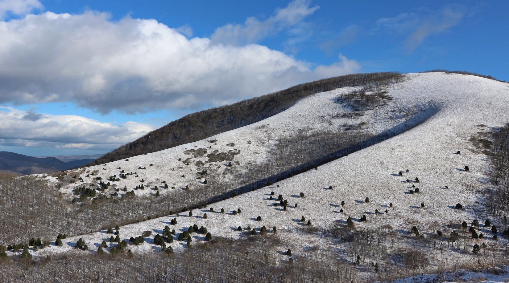 Гора Безумная, image of landscape/habitat.