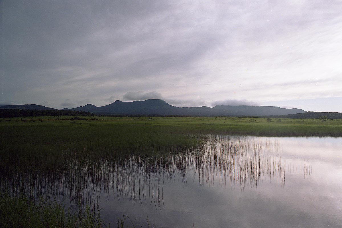 Озеро Серебряное, image of landscape/habitat.