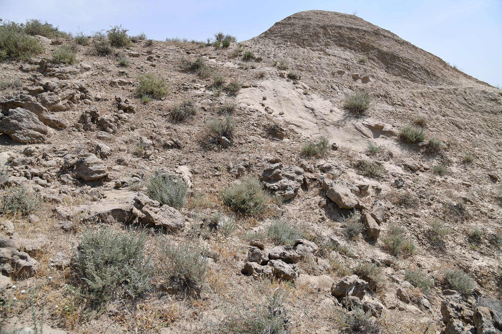 Окбель, image of landscape/habitat.