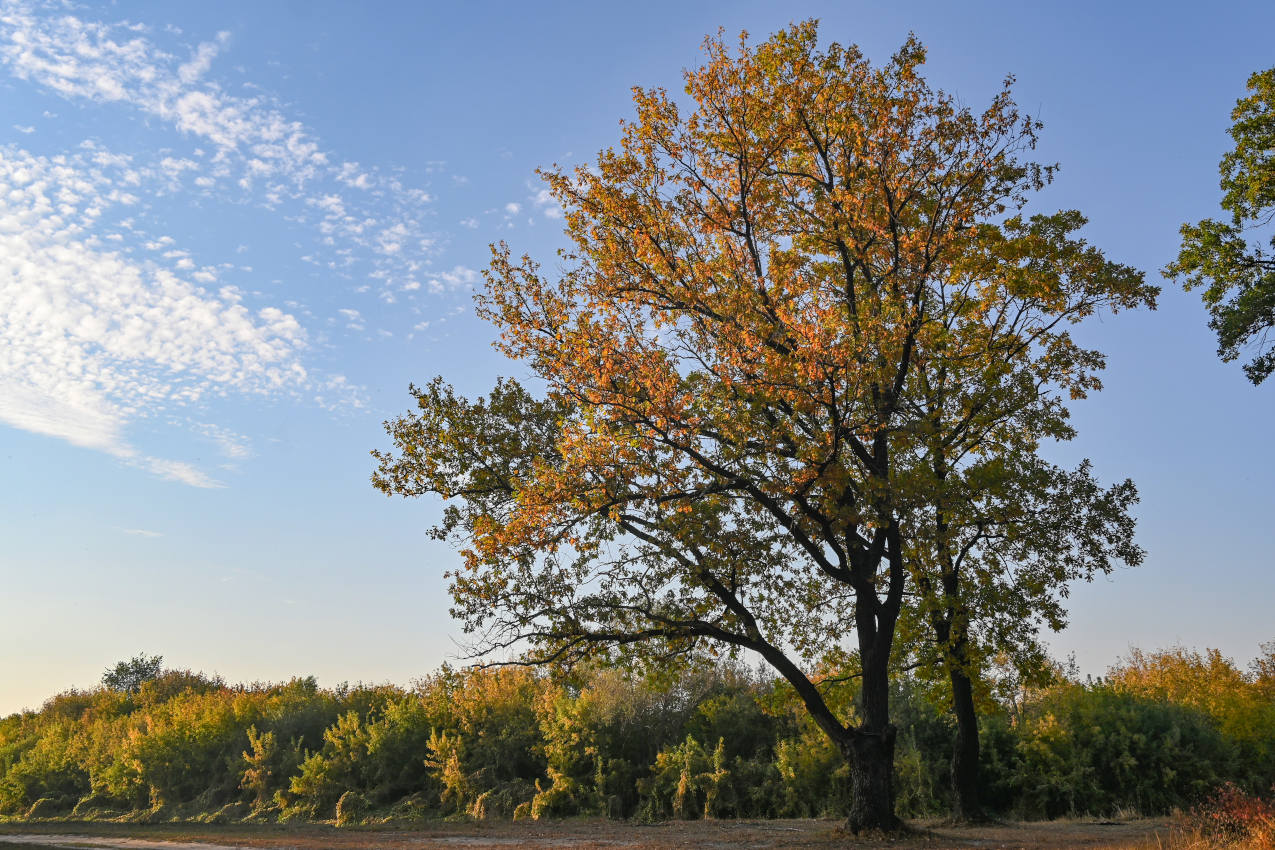 Окрестности села Марково, image of landscape/habitat.