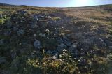 Image of landscape