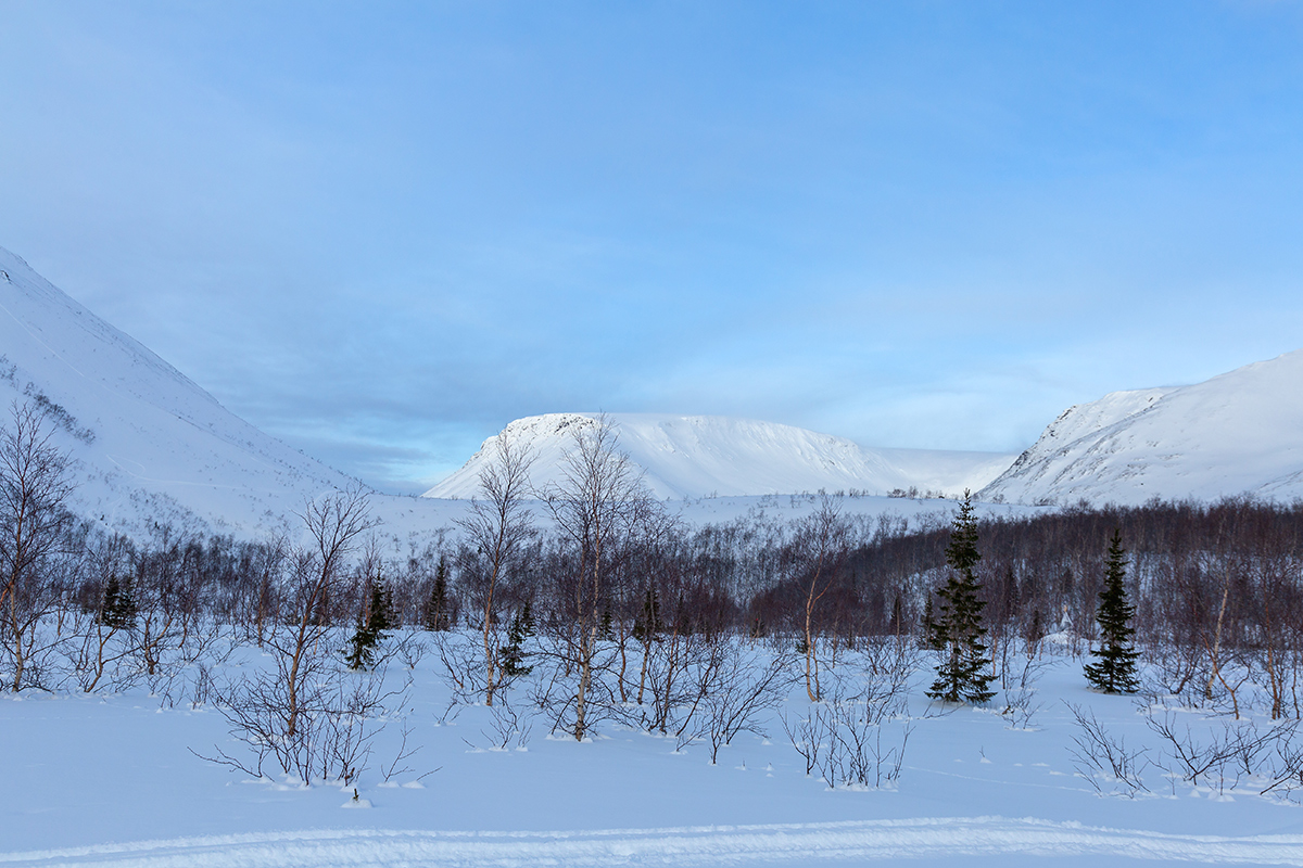 Кукисвумчорр, image of landscape/habitat.