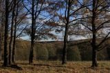 Image of landscape