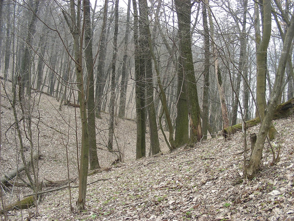 Устье-Воронка, изображение ландшафта.