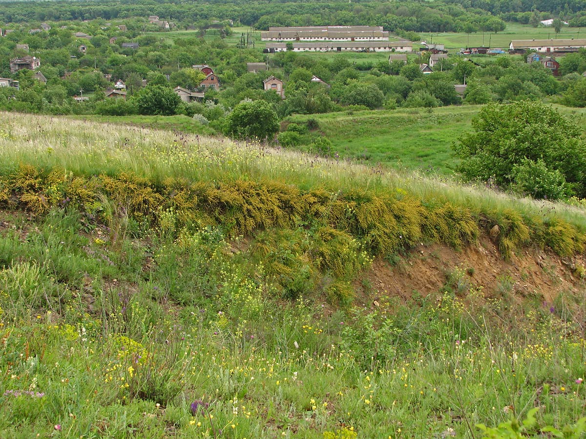 "Ларинский", изображение ландшафта.