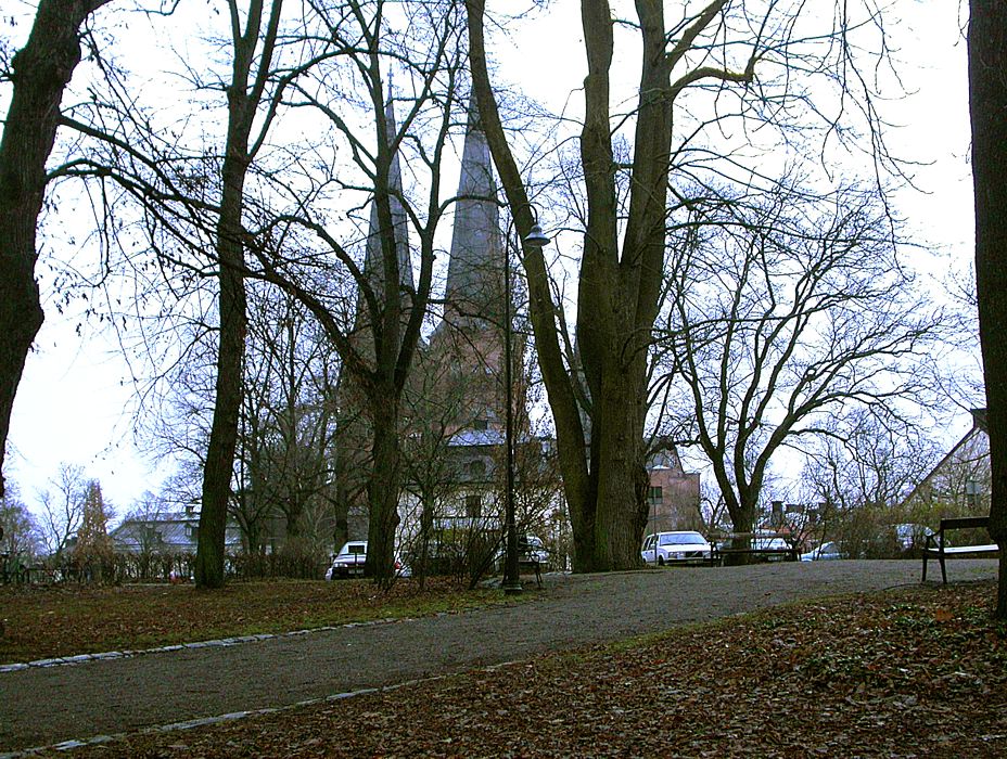 Центр Уппсалы, image of landscape/habitat.
