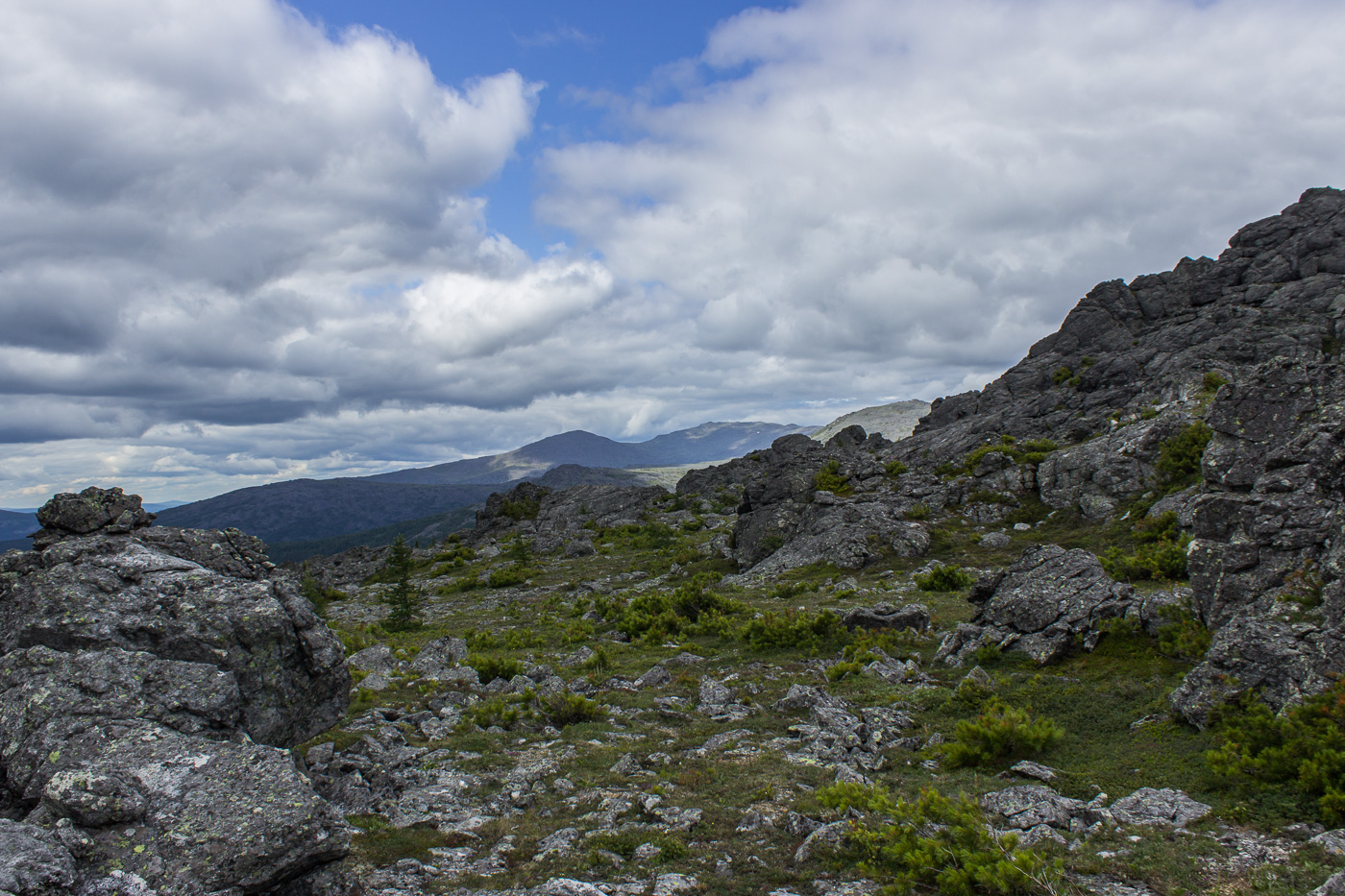 Серебрянский камень, image of landscape/habitat.