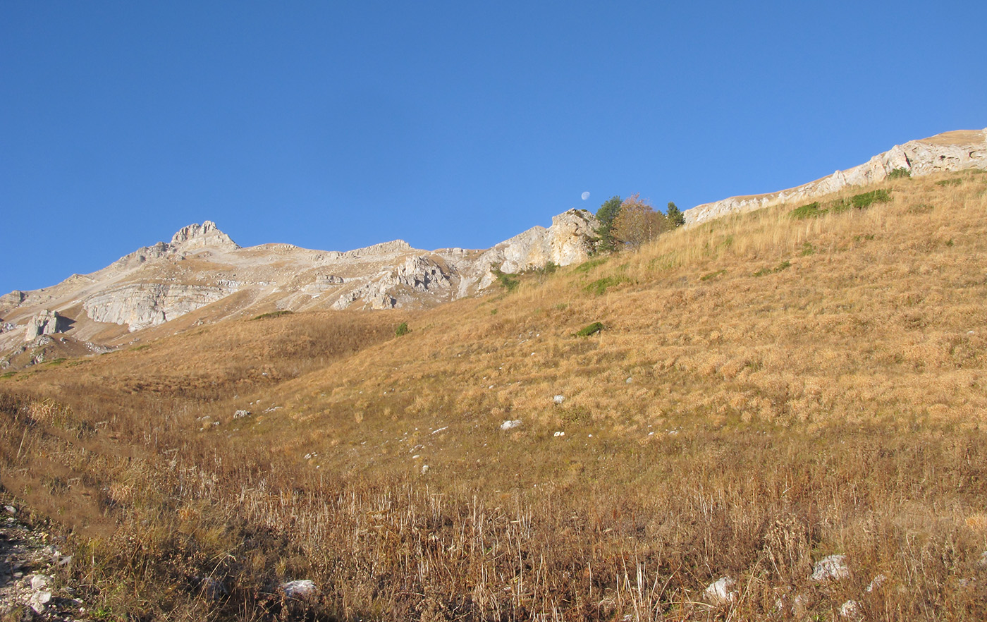 Оштен, image of landscape/habitat.