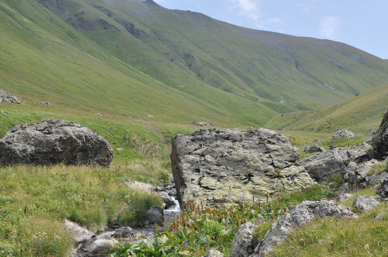 Долина ручья Чаухицхали, image of landscape/habitat.