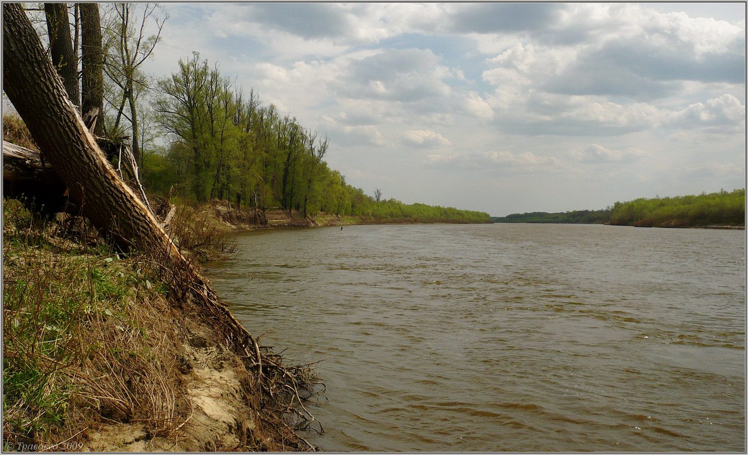 Пойма р. Паланка, image of landscape/habitat.