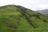 Image of landscape