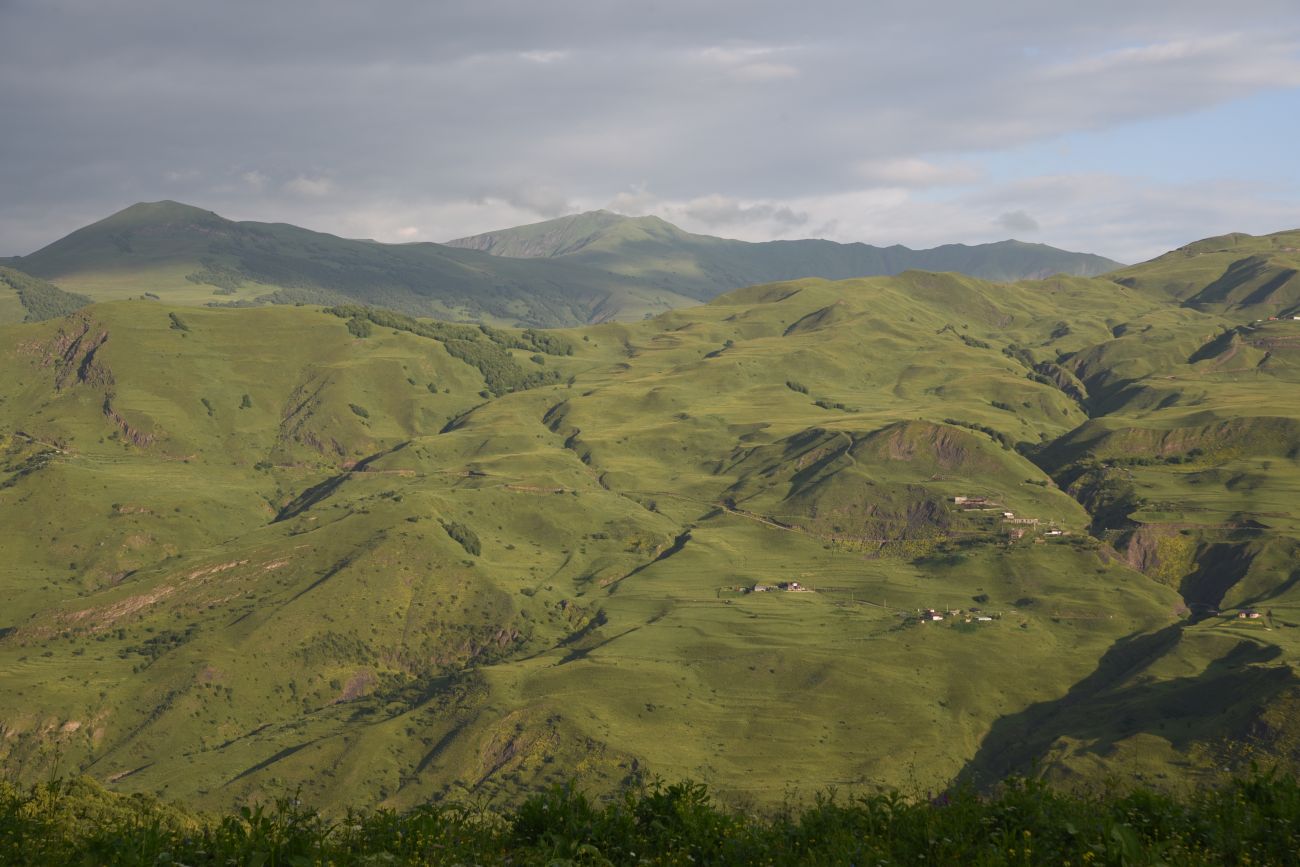 Шарой, image of landscape/habitat.