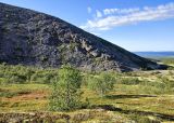 Image of landscape