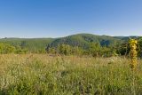 Гора Долгая, image of landscape/habitat.
