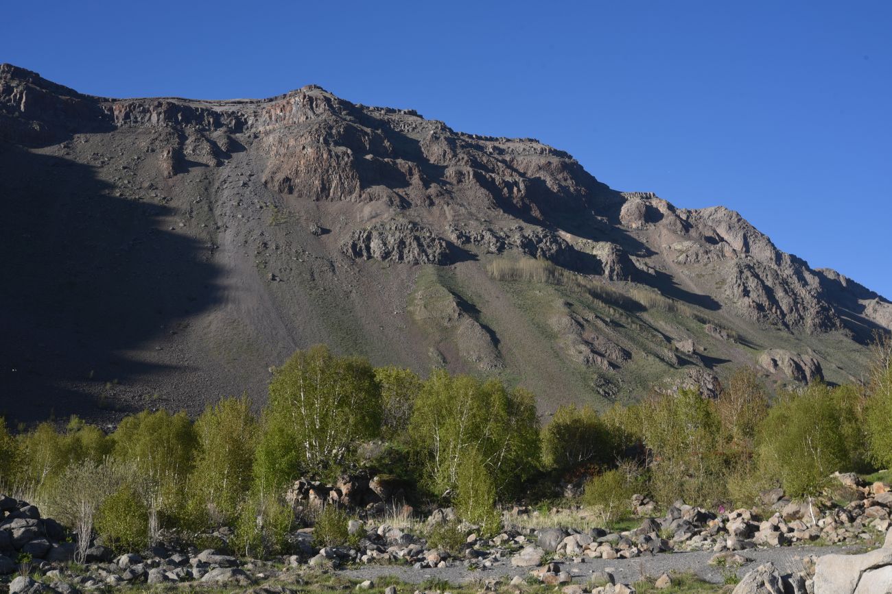 Окрестности озера Немрут, image of landscape/habitat.