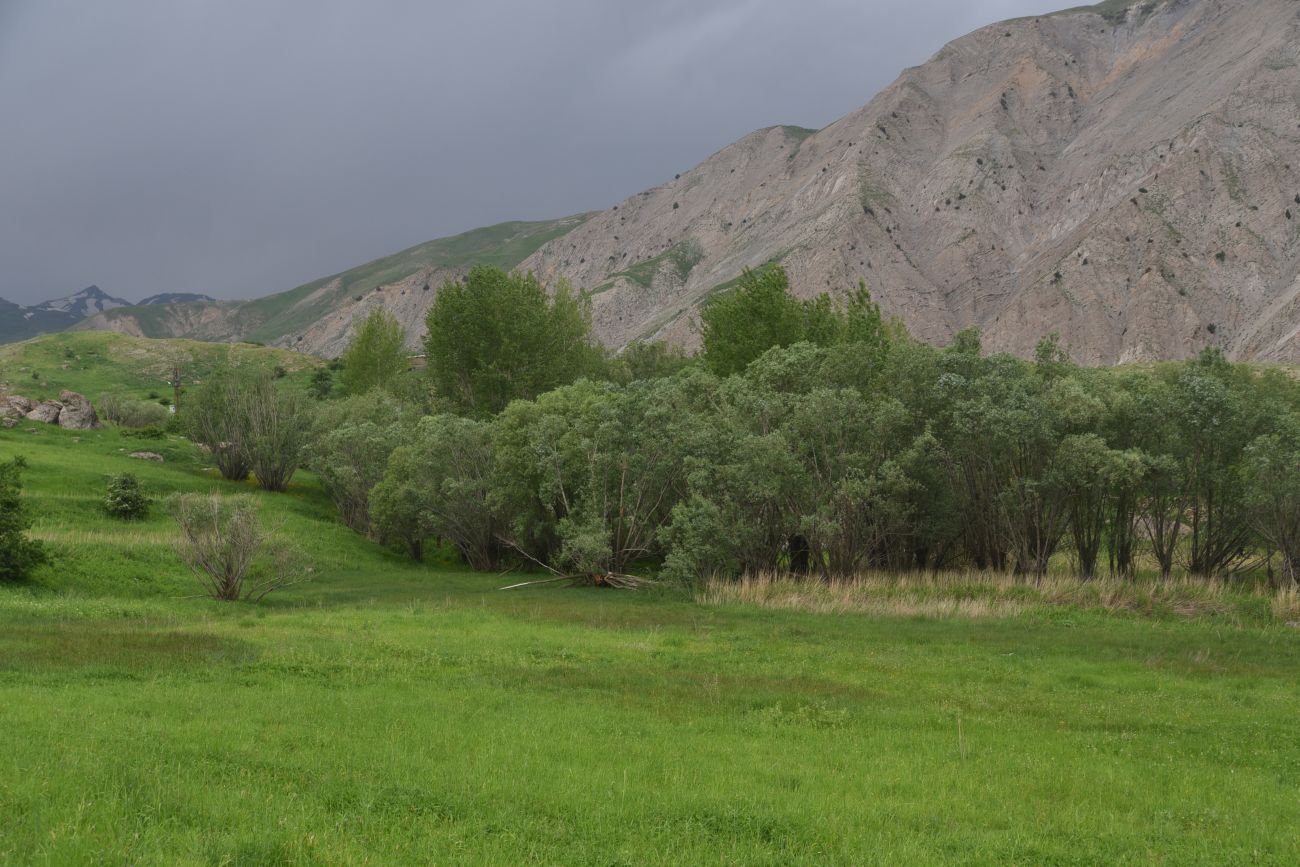 Кучанис, изображение ландшафта.