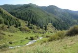 Image of landscape