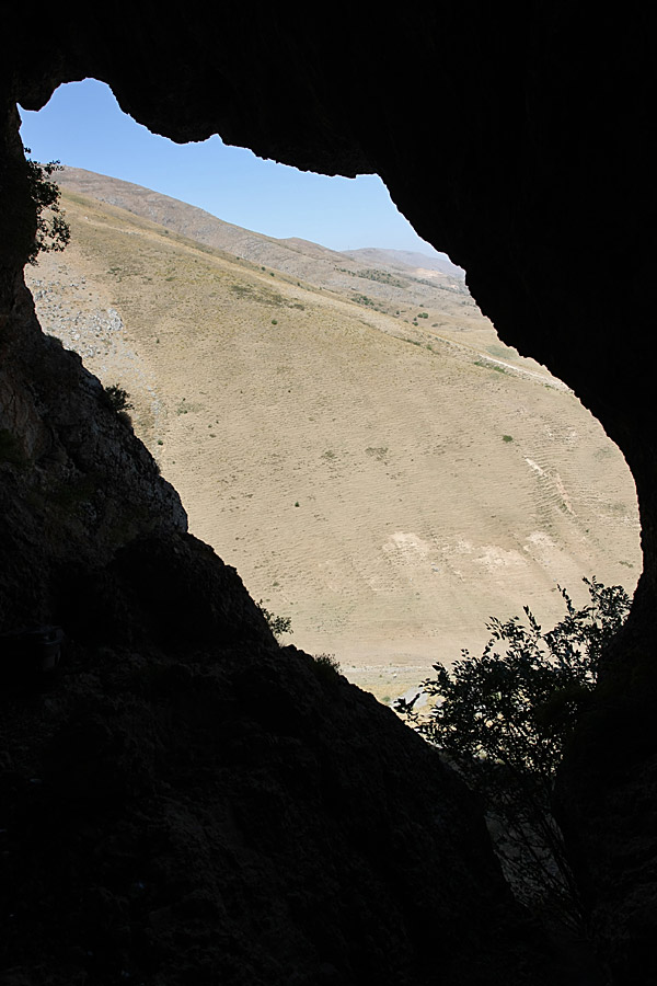 Горы Алатау, image of landscape/habitat.