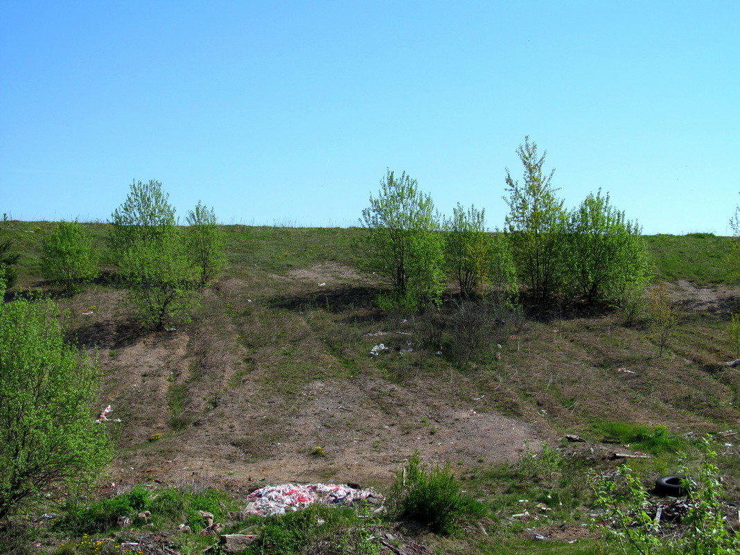 Пуцевичи, image of landscape/habitat.