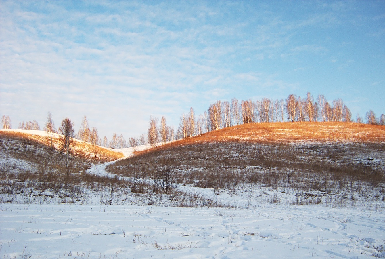 Окрестности с. Камлак, image of landscape/habitat.