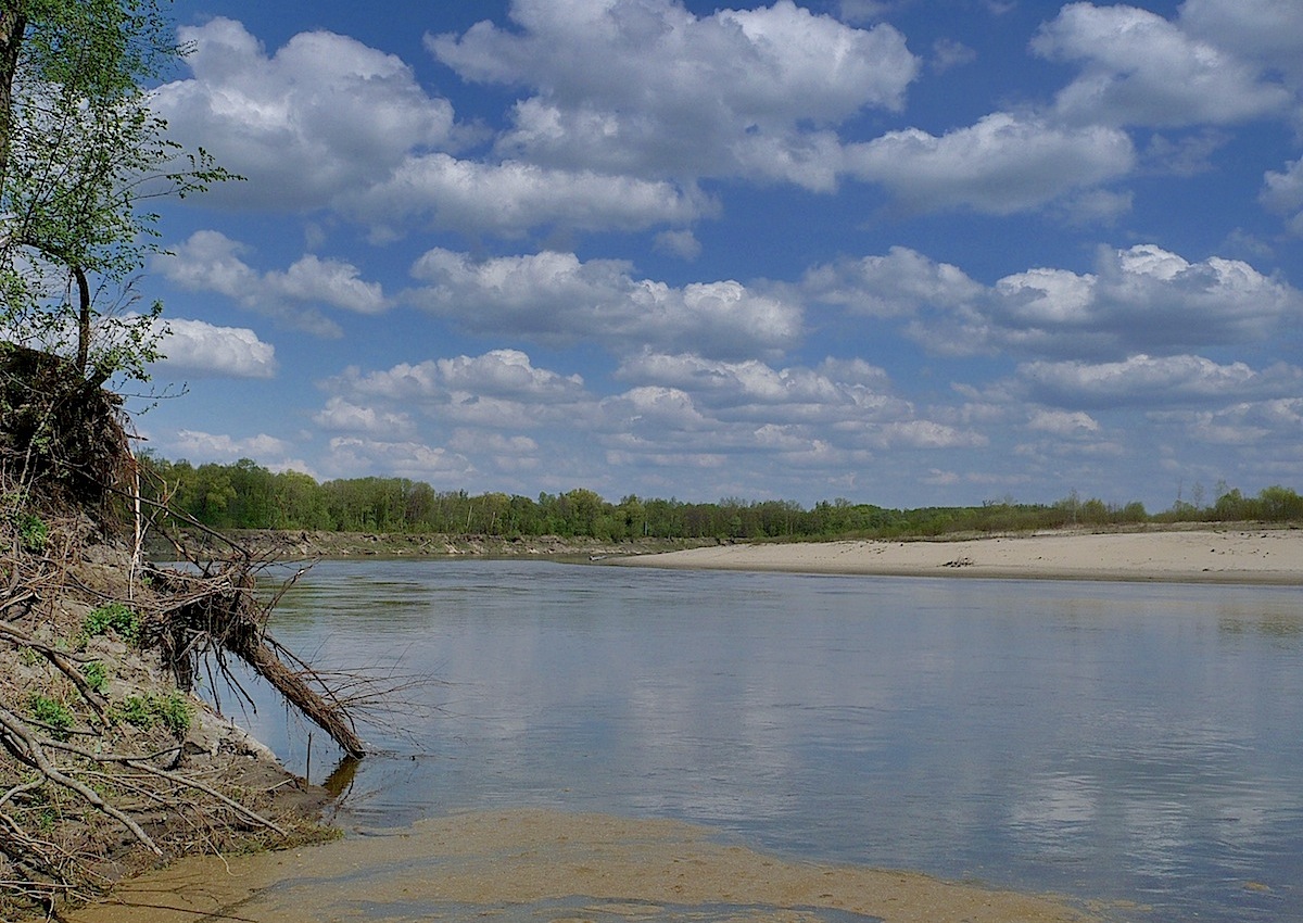 Наватские пески, image of landscape/habitat.