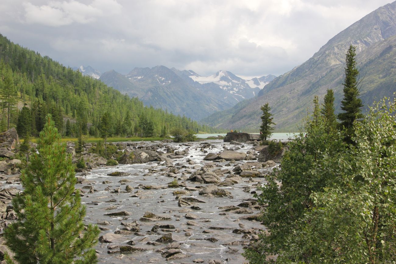 Урочище Шумы, image of landscape/habitat.