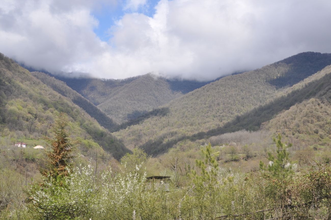 Окрестности крепости Пери-Кала, image of landscape/habitat.