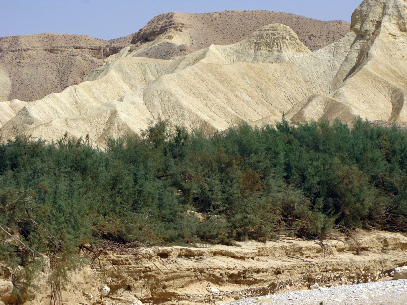 Нахаль Цын, image of landscape/habitat.