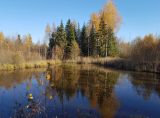 Волдынь - Ябдино, image of landscape/habitat.