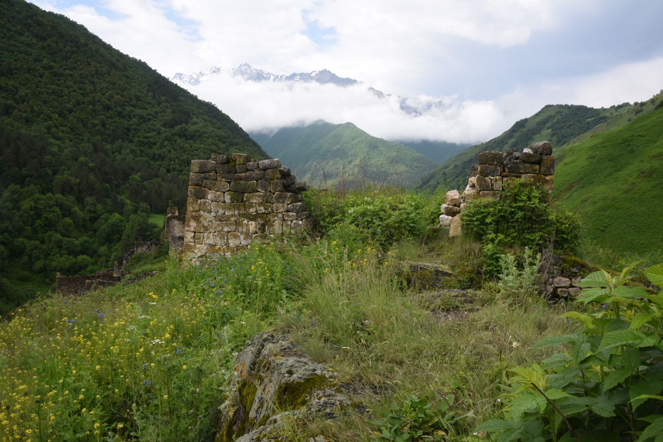 Окрестности урочища Цори, image of landscape/habitat.