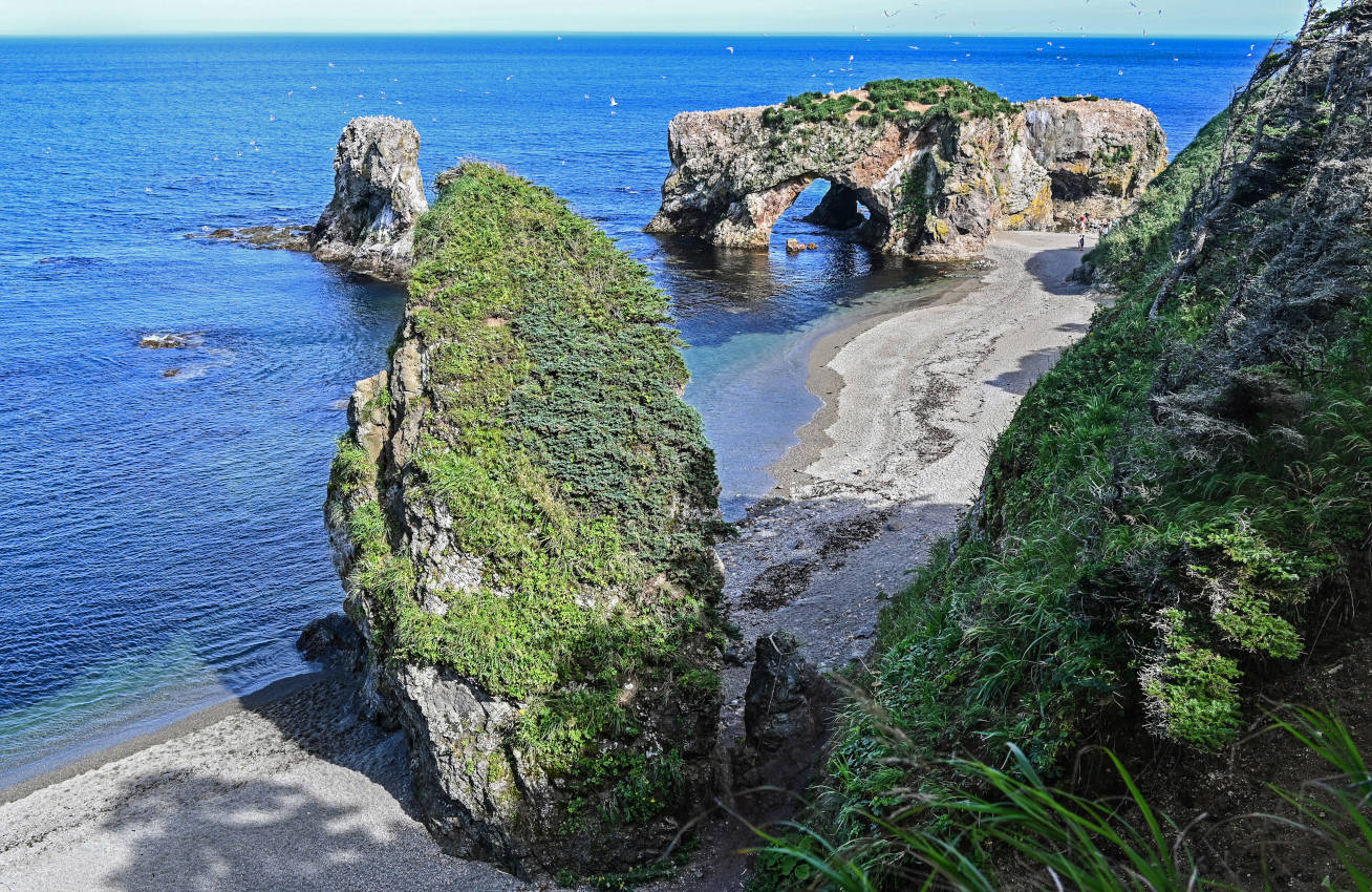 Мыс Великан, image of landscape/habitat.