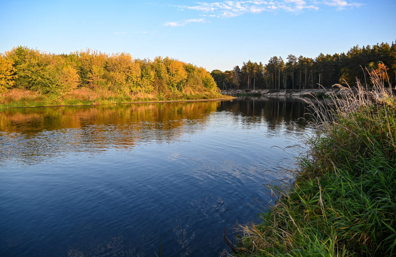 Окрестности села Марково, image of landscape/habitat.