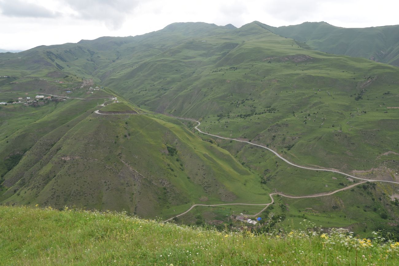 Шарой, image of landscape/habitat.