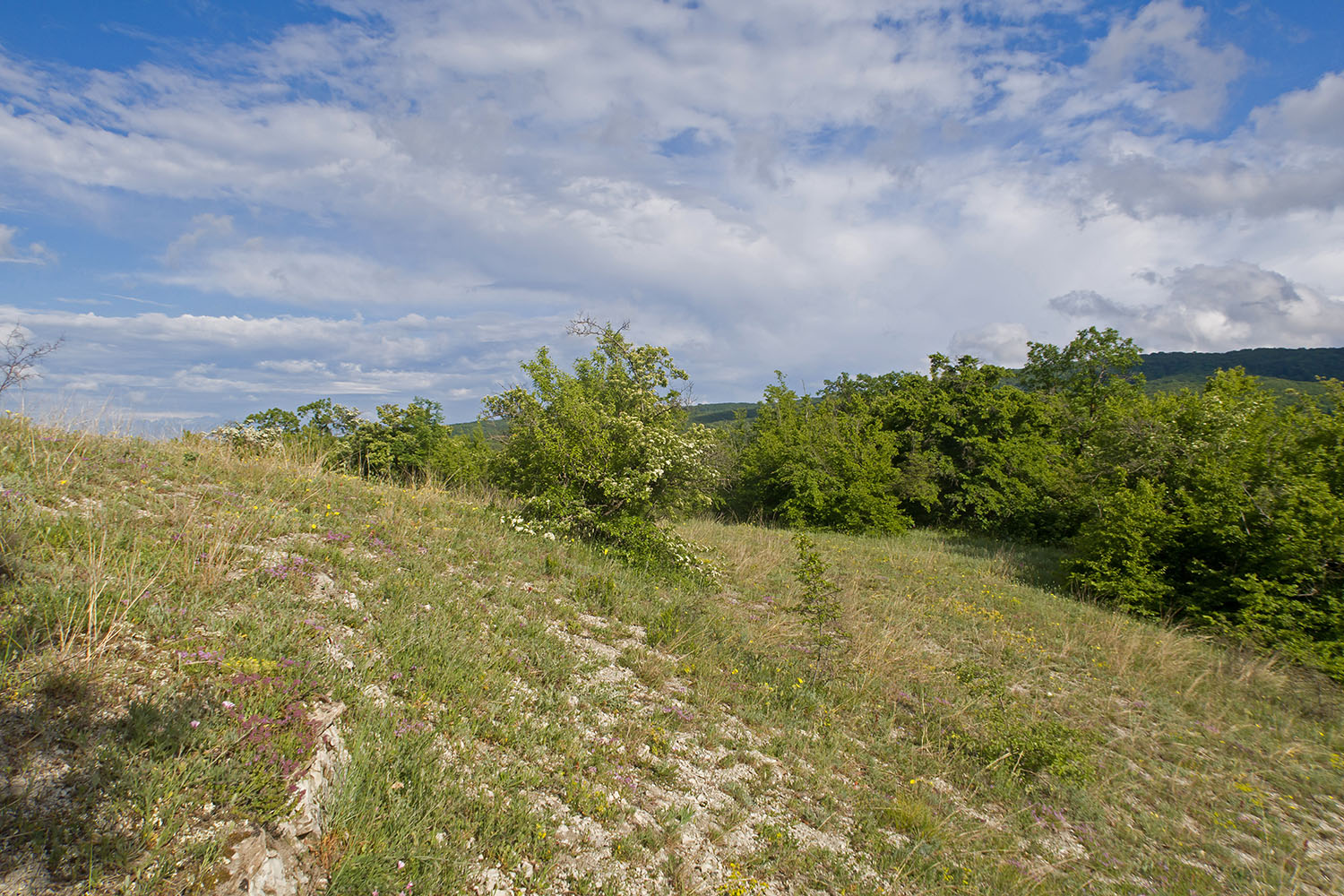 Скальное обнажение у ручья, image of landscape/habitat.