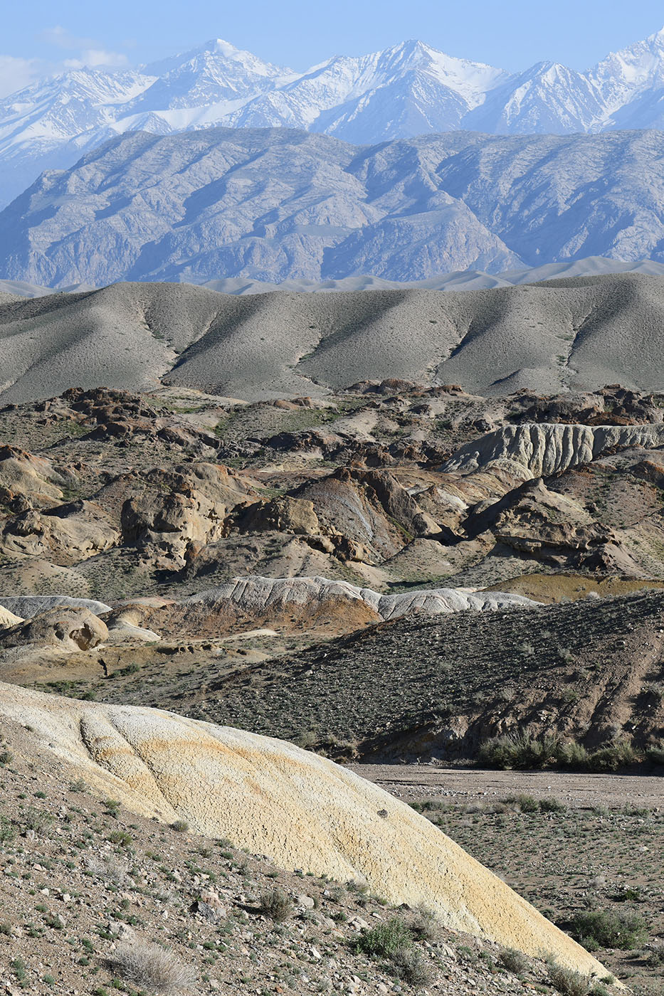 Мадыген, image of landscape/habitat.