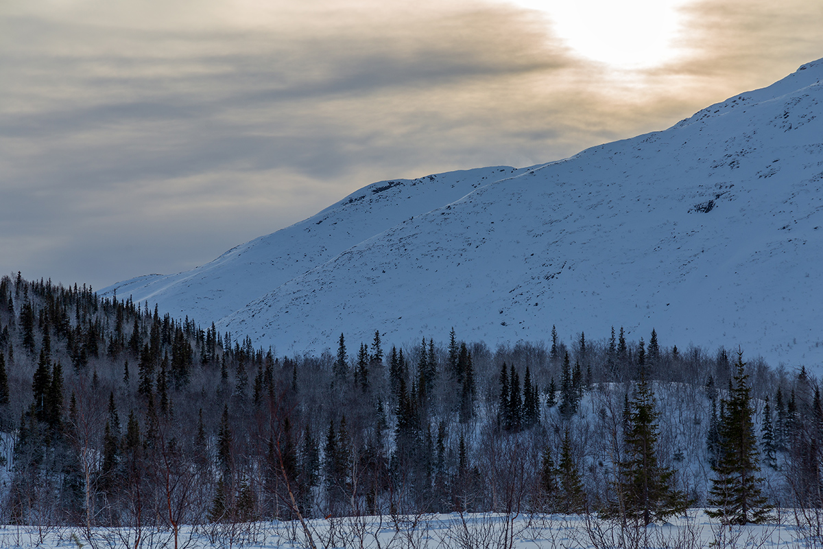 Кукисвумчорр, image of landscape/habitat.