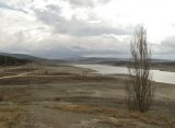 Image of landscape